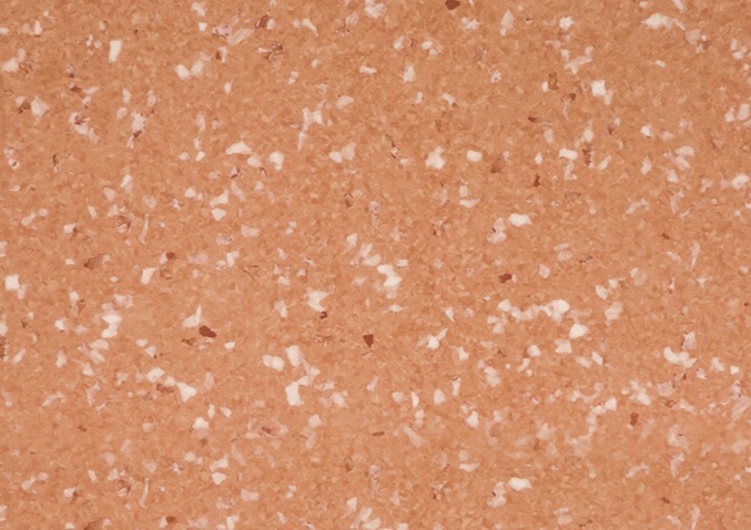 کفپوش مایا 45205