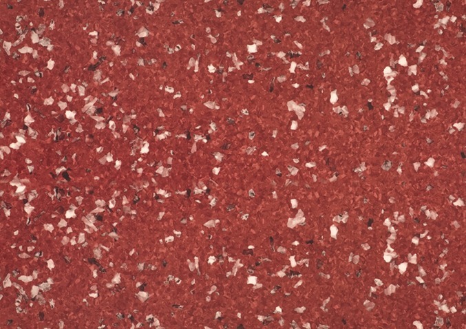 کفپوش مایا 45201